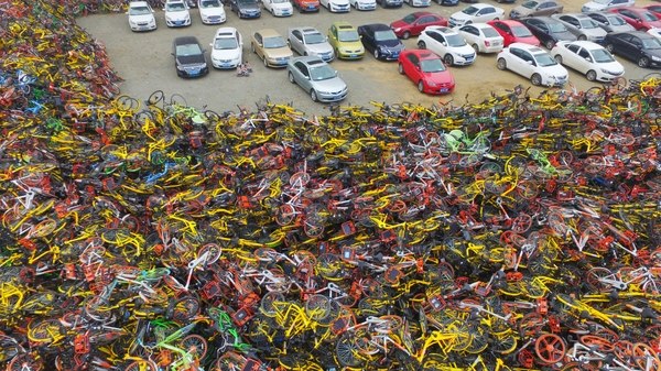 bicicletas-autos-coches.jpg